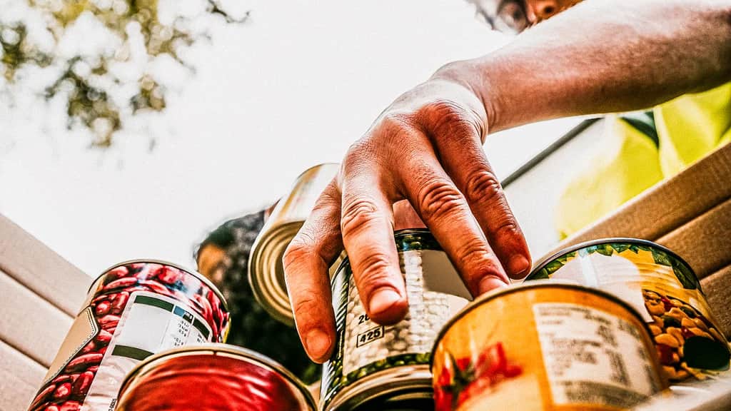 AI cuts grocery waste—and food-bank donations