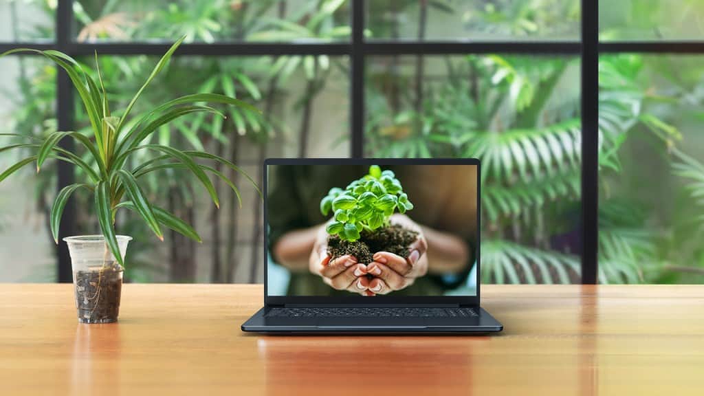 A laptop on a wooden table displays hands holding a small plant, with greenery in the background.