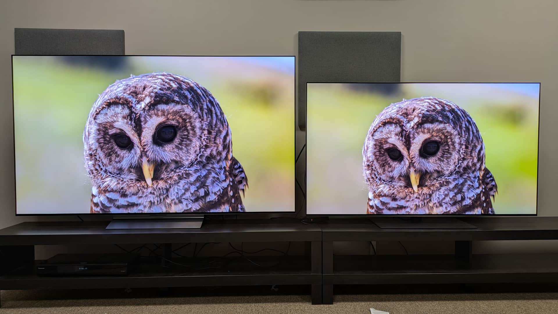 LG C6 left and LG G5 right with a shot of an owl on screen. Both TVs deliver the shot with real precision and authenticity. — The LG C6 left and LG G5 right Image credit: Future