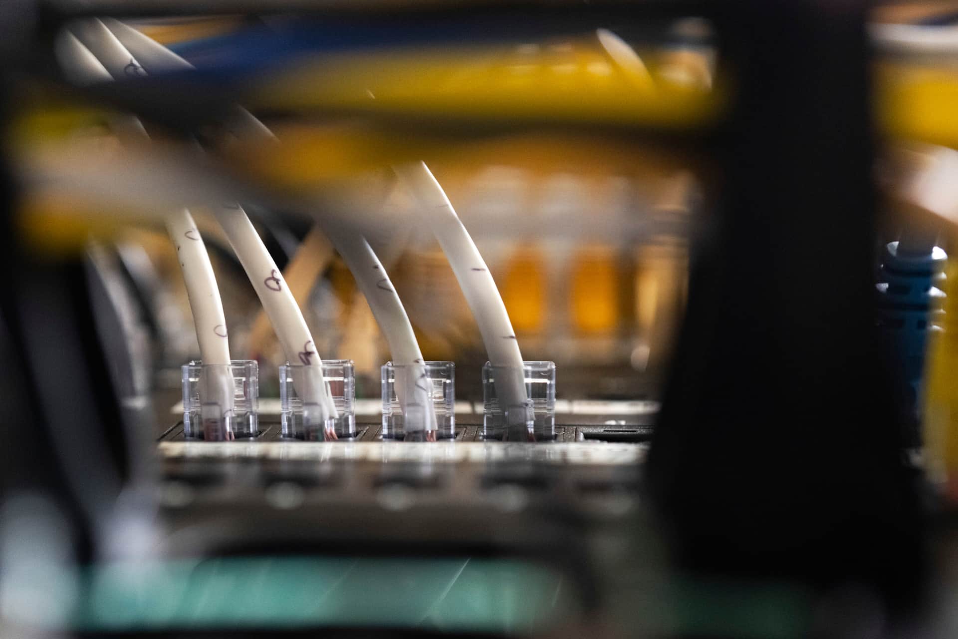 PHP’s patch wave is an asset-inventory failure