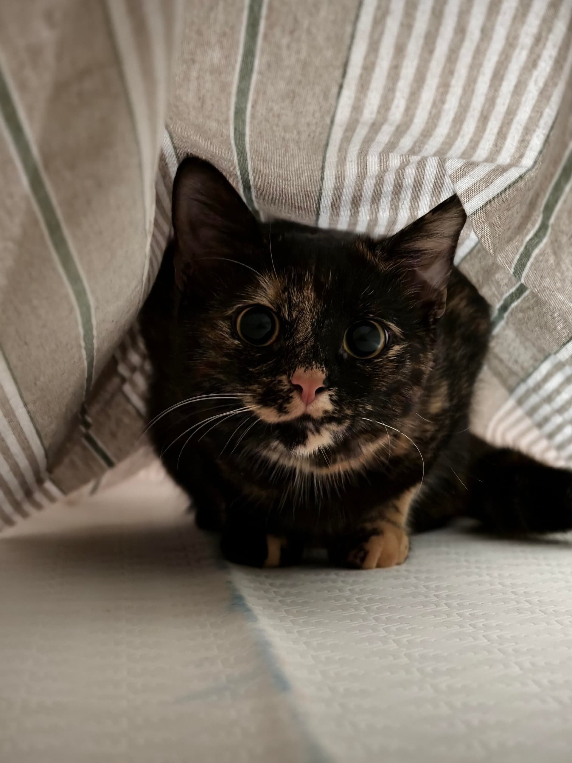 Big pupils.