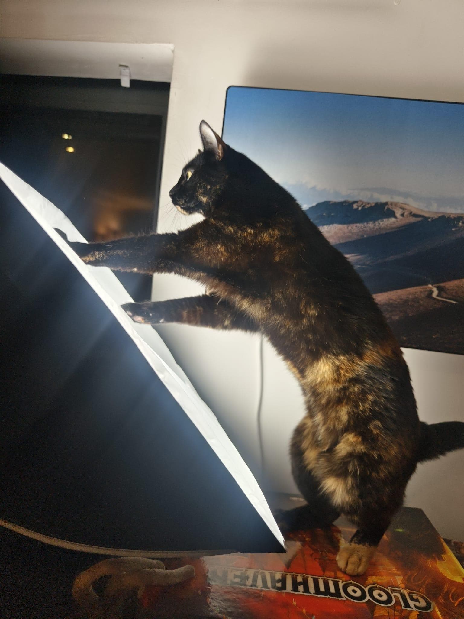 So long as your pets don’t get too distracted by it.