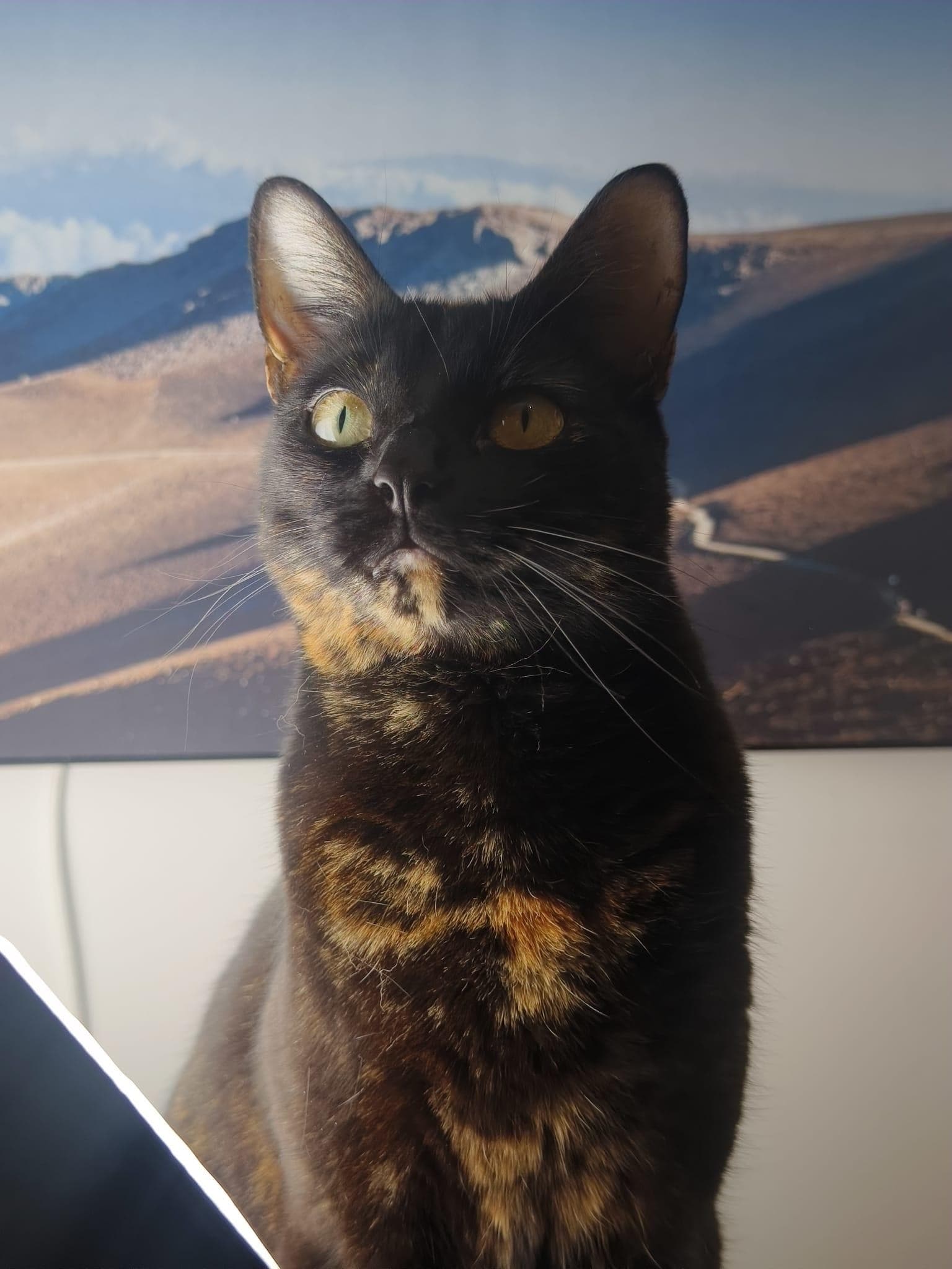 A dedicated light can help with indoor photos.