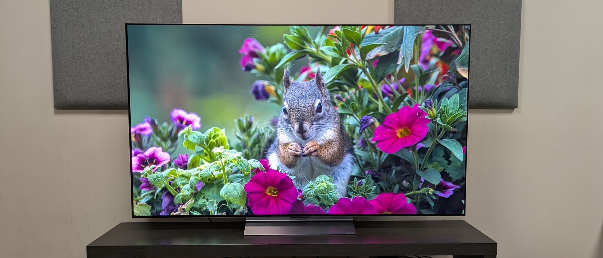 LG C6 OLED TV hero image, showing squirrel on screen eating in some bushes — Image credit: Future