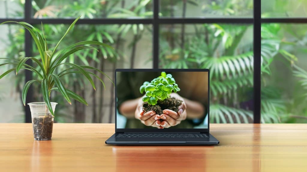 A laptop on a wooden table displays hands holding a small plant, with greenery in the background.