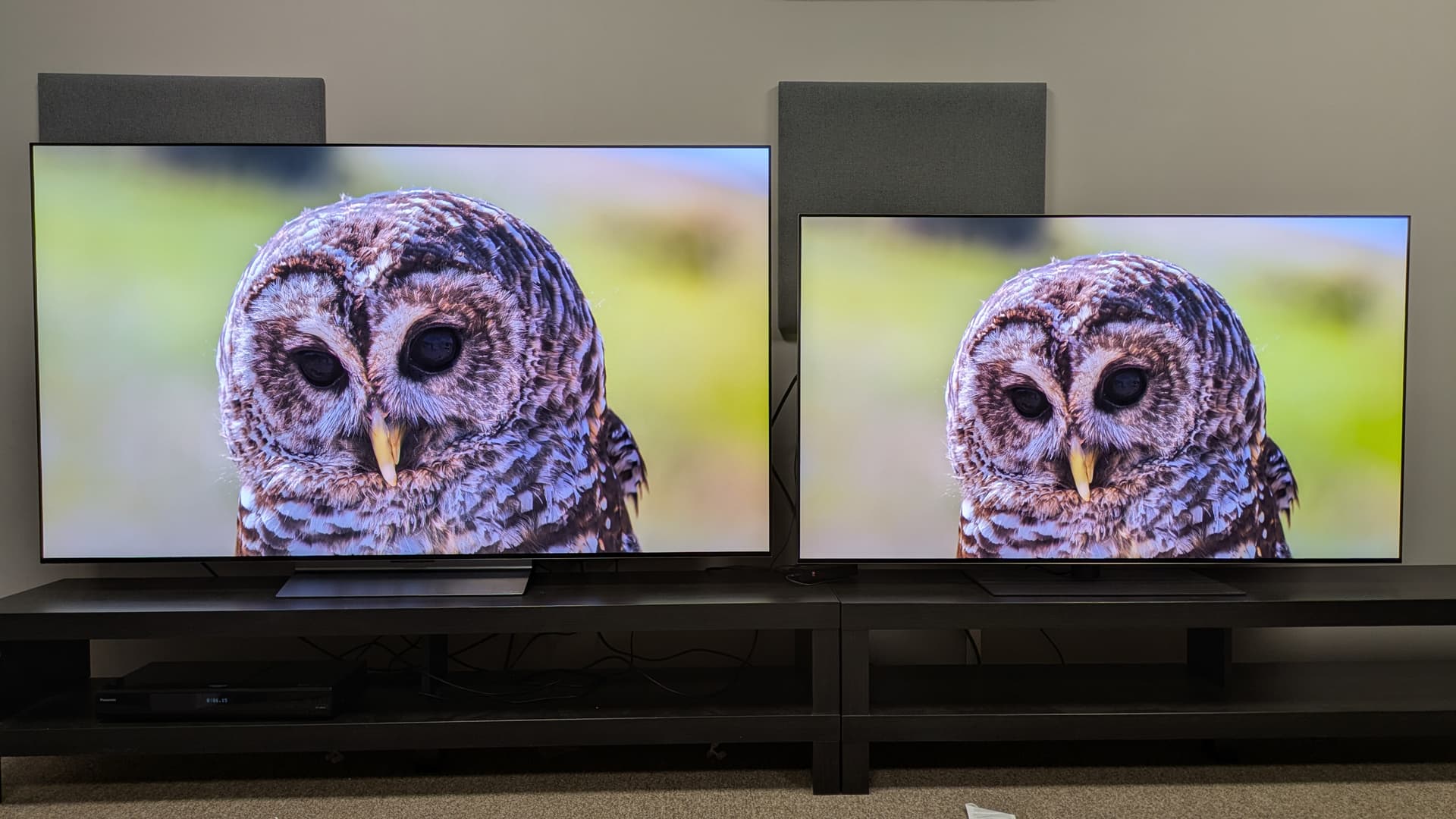 LG C6 left and LG G5 right with a shot of an owl on screen. Both TVs deliver the shot with real precision and authenticity. — The LG C6 left and LG G5 right Image credit: Future